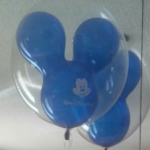 Meet your Posher, Elisa